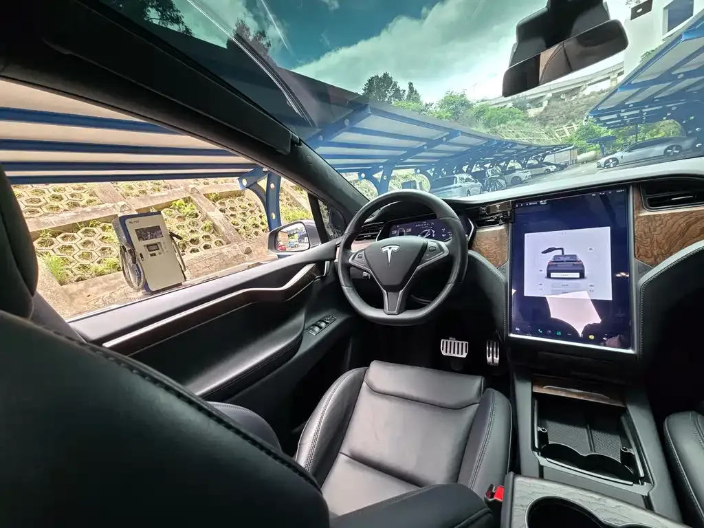 Tesla Model X — фото 9