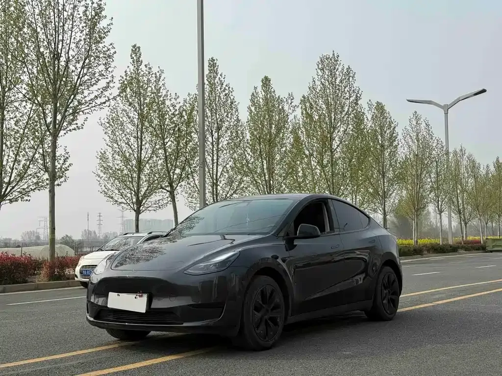 Tesla Model Y — фото 1