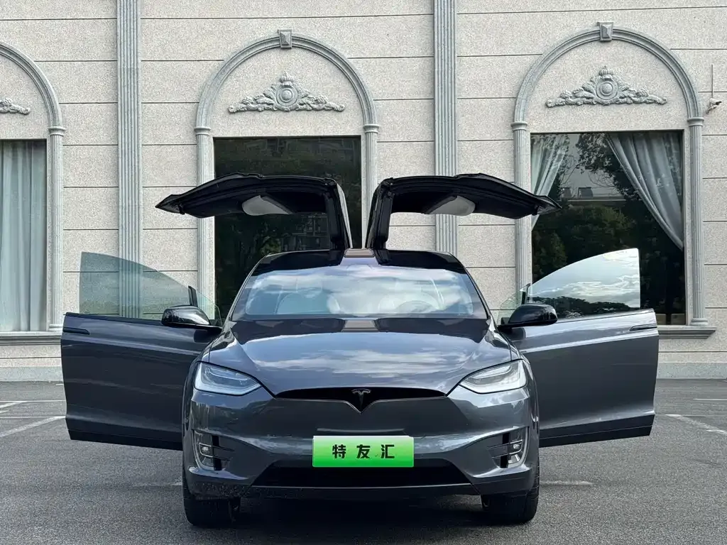 Tesla Model X — фото 1