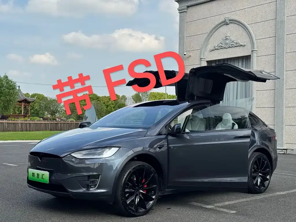 Tesla Model X — фото 5
