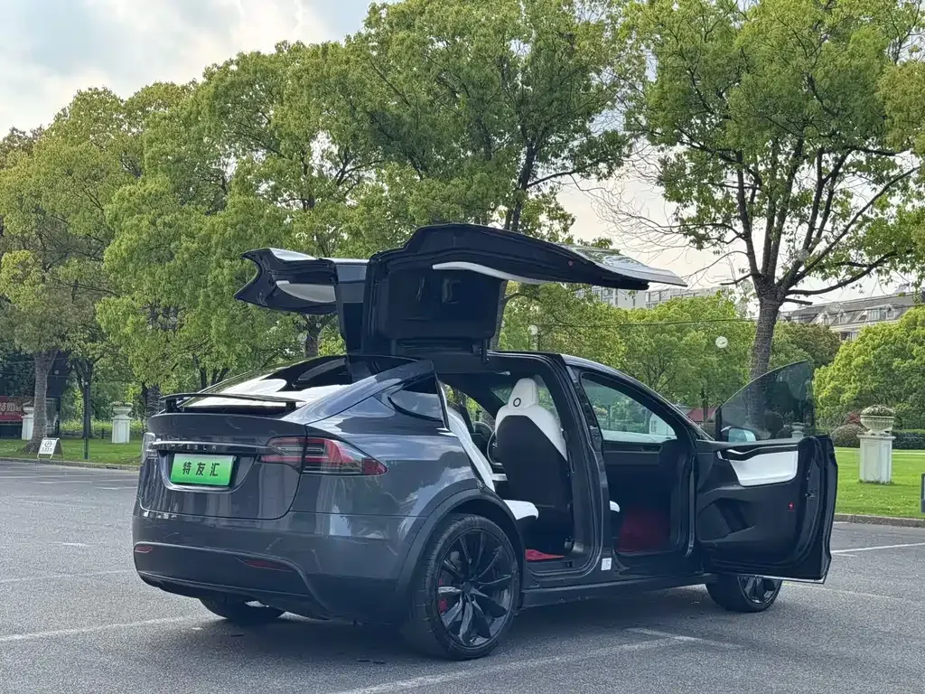 Tesla Model X — фото 9