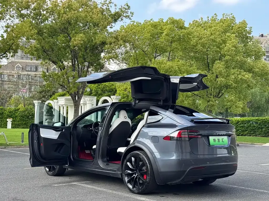 Tesla Model X — фото 8