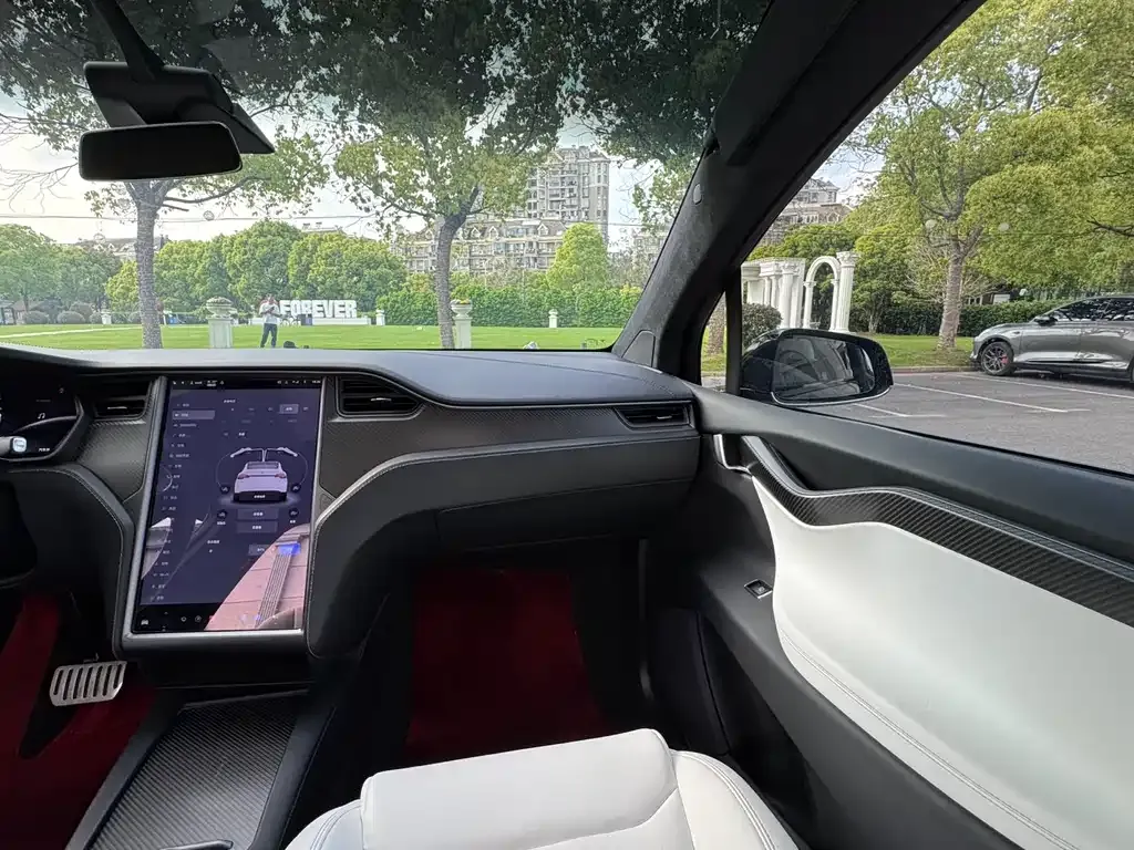 Tesla Model X — фото 10
