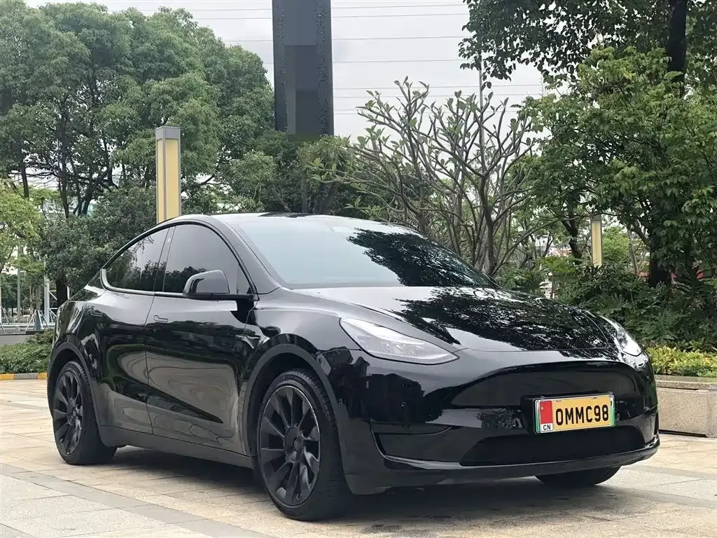 Tesla Model Y — фото 9