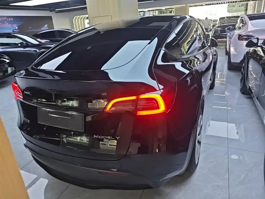 Tesla Model Y — фото 3