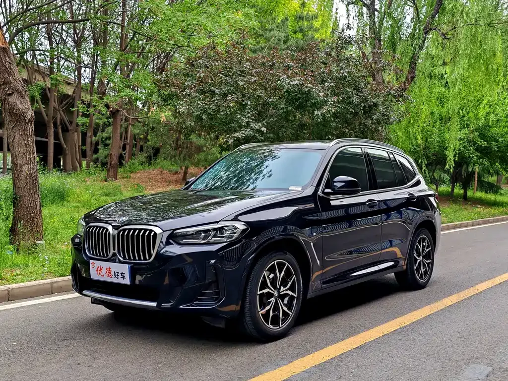 BMW X3 — фото 1