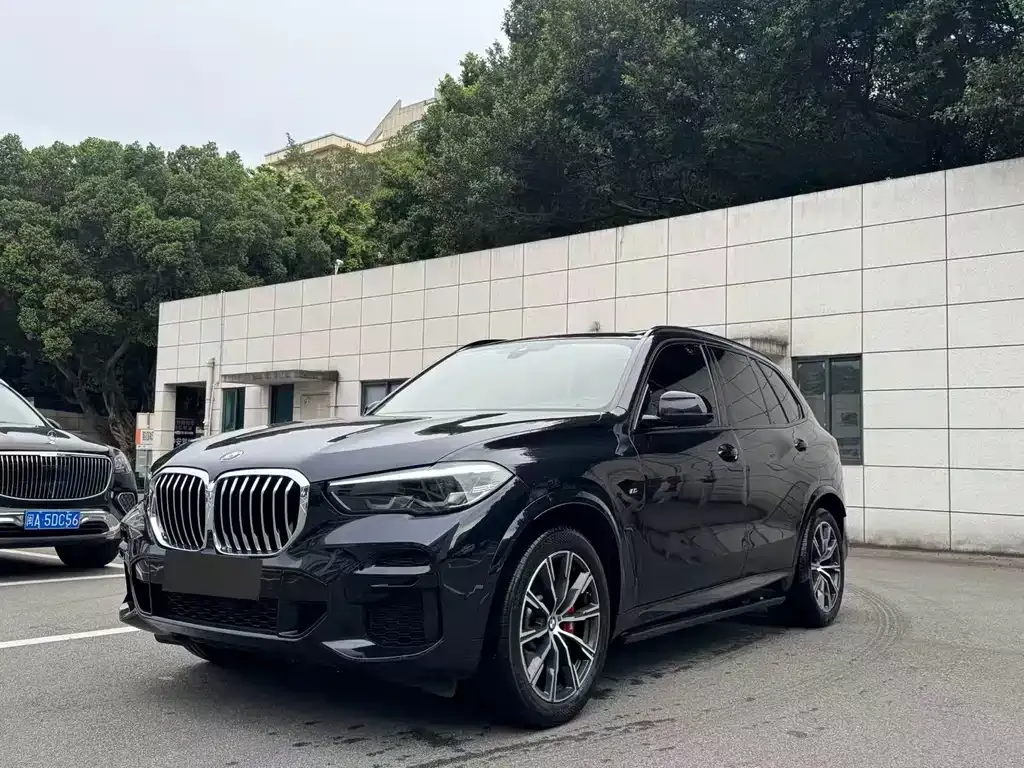BMW X5 (Import) — фото 1