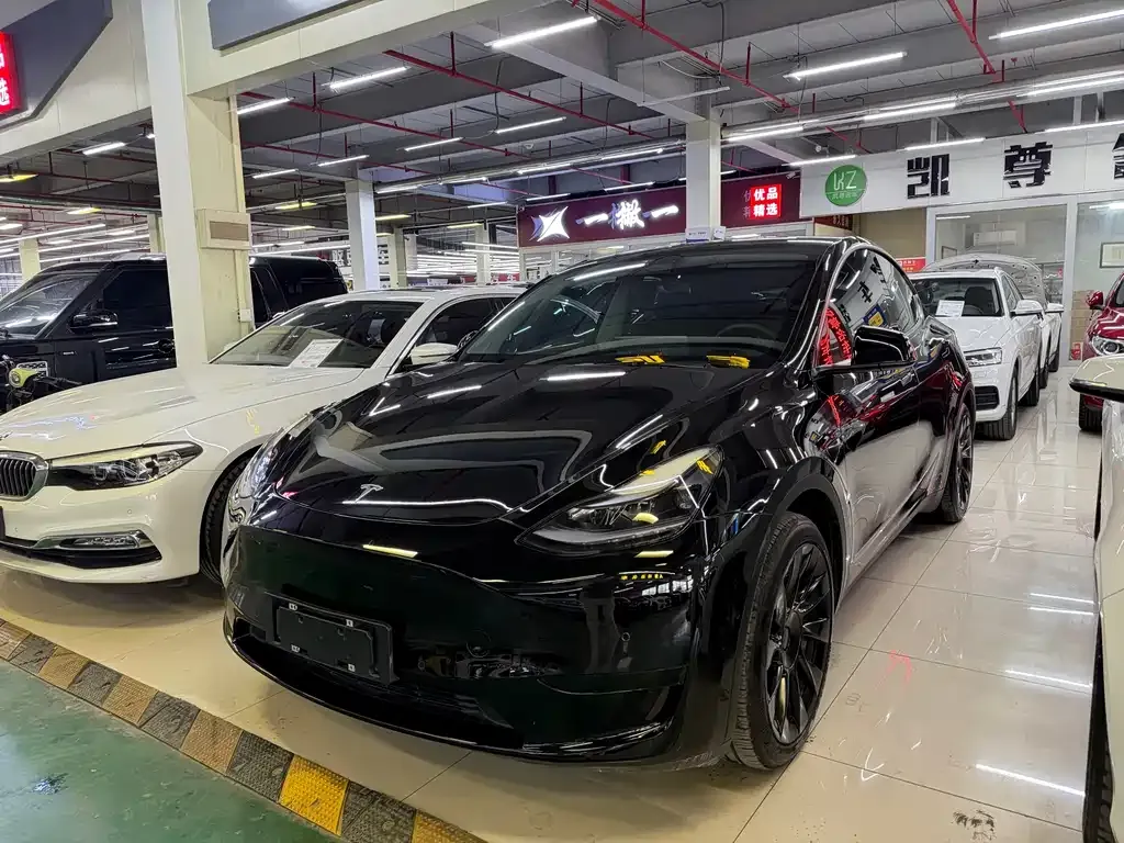 Tesla Model Y — фото 1