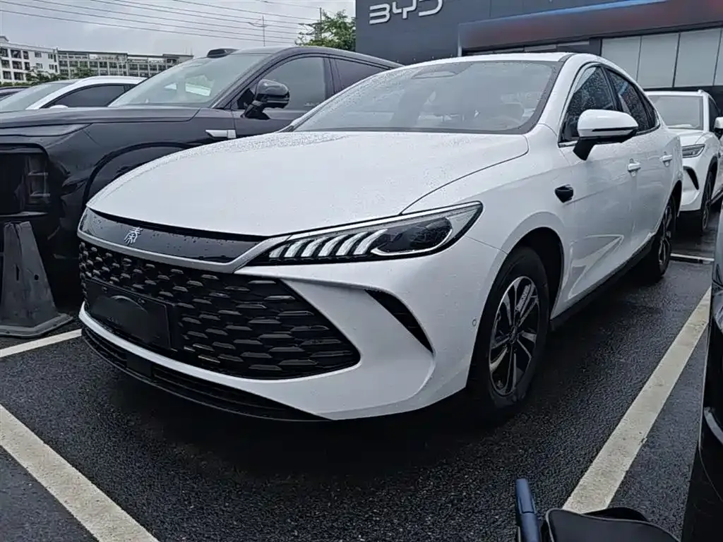 BYD Qin PLUS — фото 1