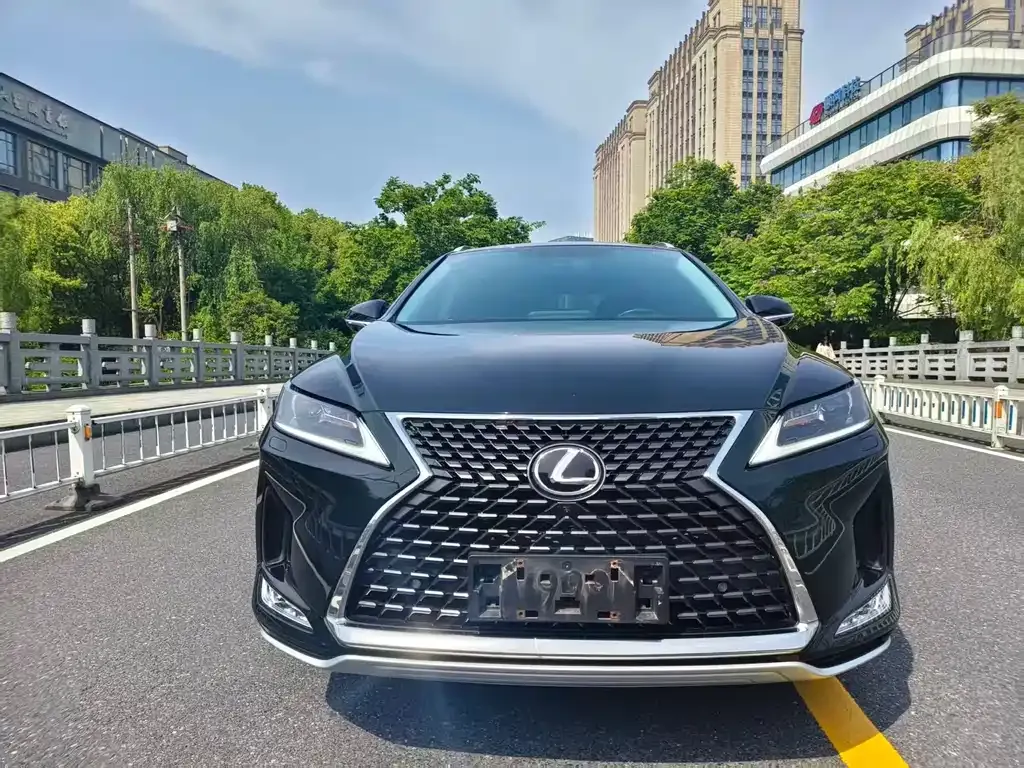 Lexus RX — фото 10