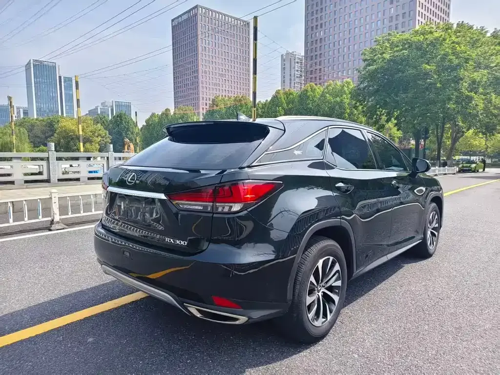 Lexus RX — фото 8