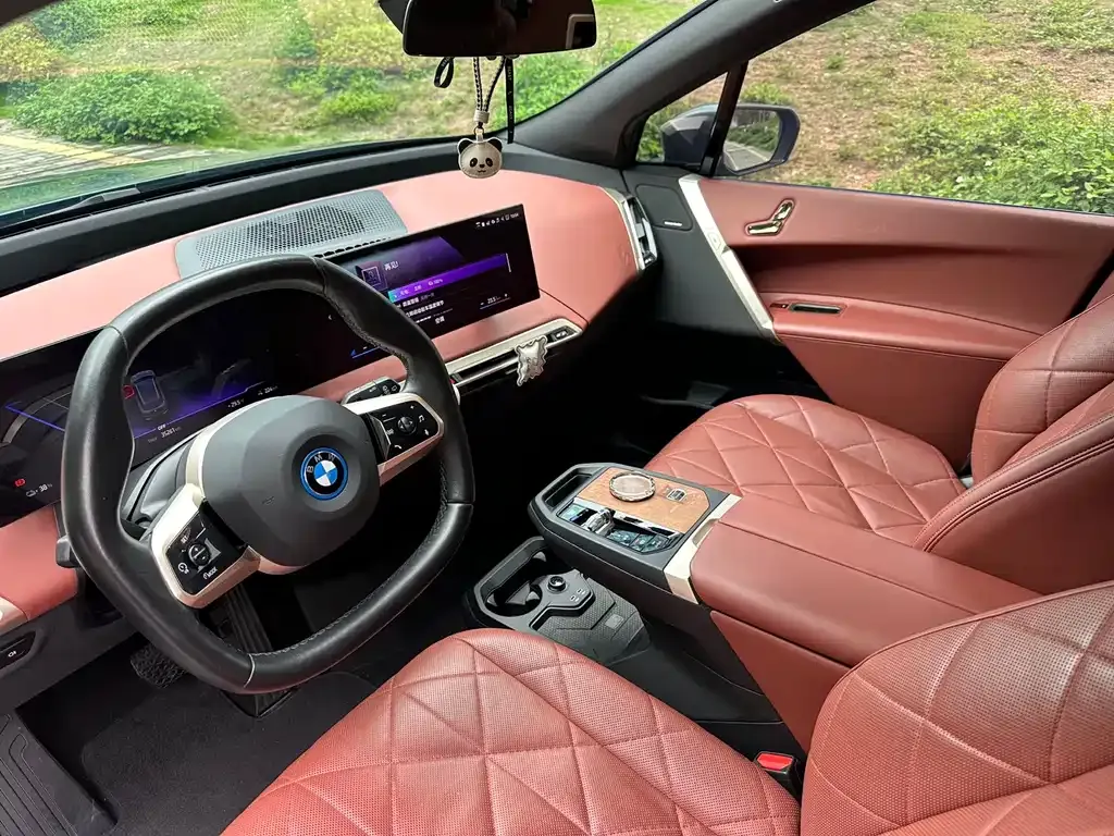 BMW iX — фото 10