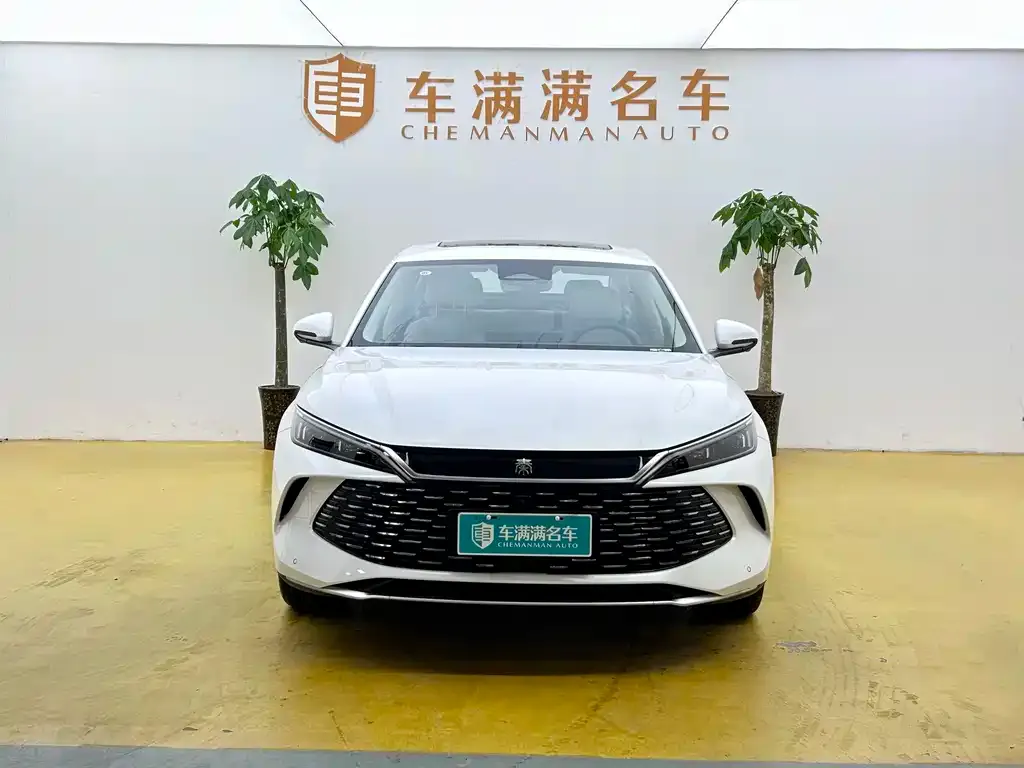 BYD Qin PLUS — фото 9