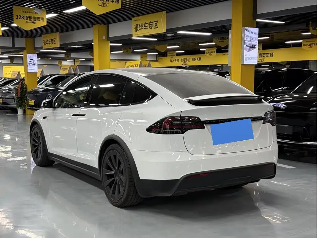 Tesla Model X — фото 8