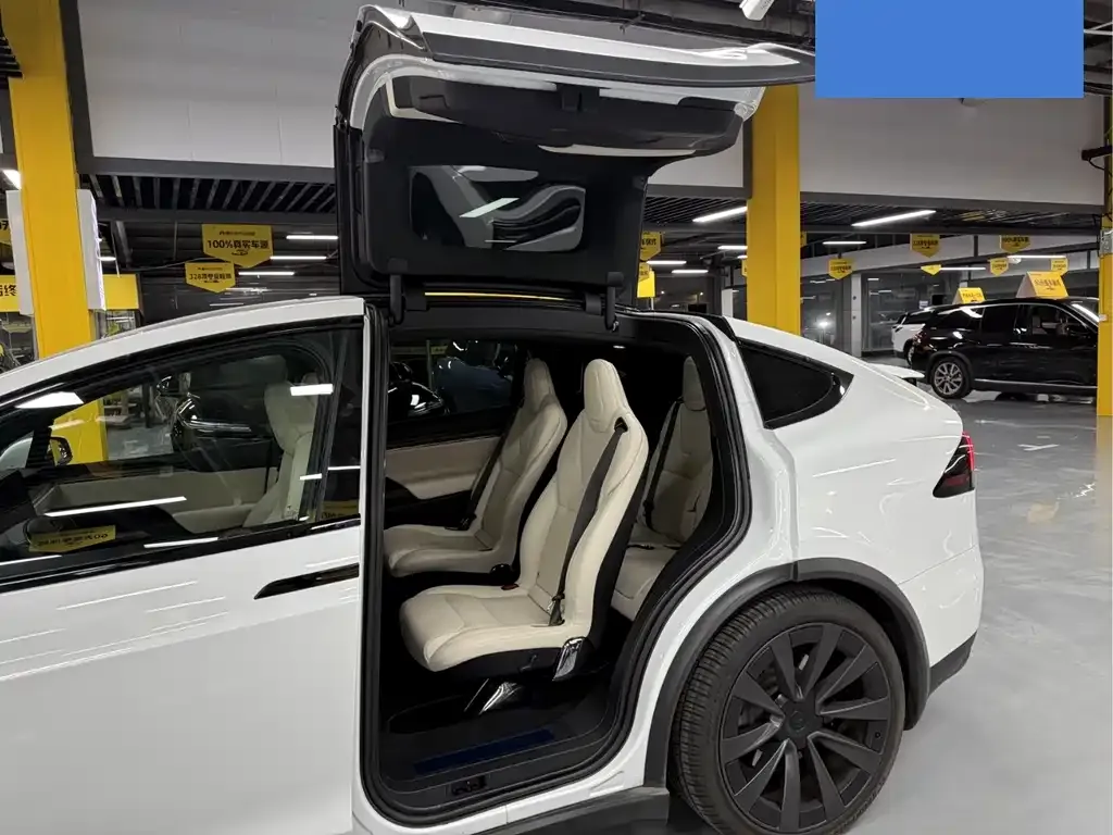 Tesla Model X — фото 5