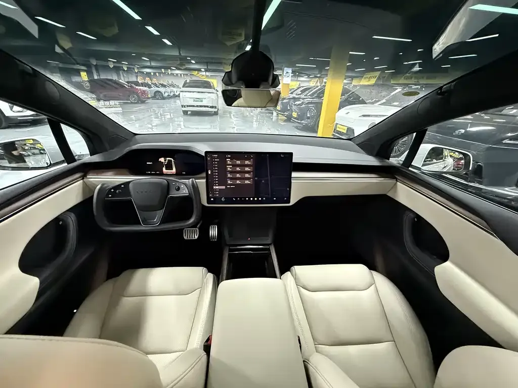 Tesla Model X — фото 10