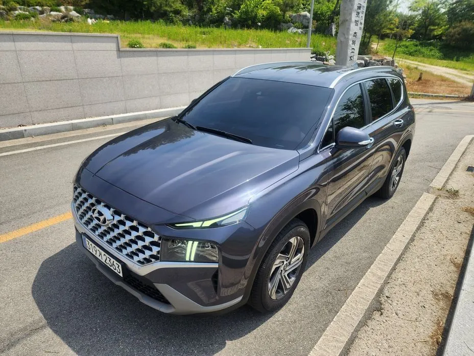 Hyundai Santafe — фото 7