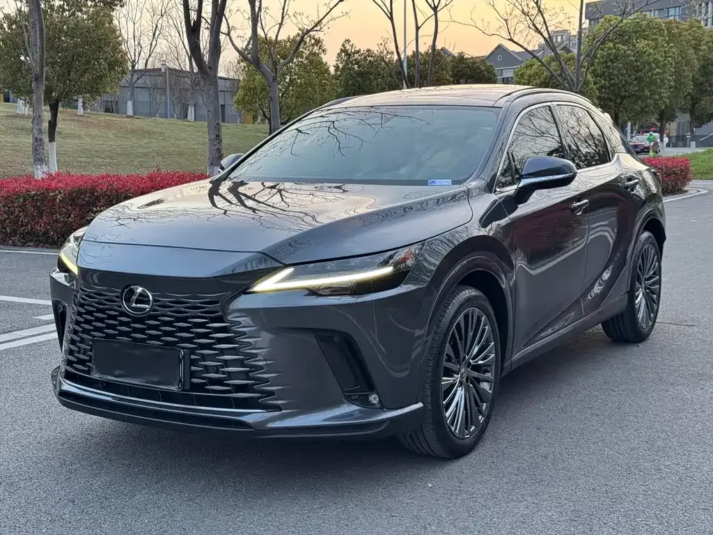 Lexus RX — фото 1