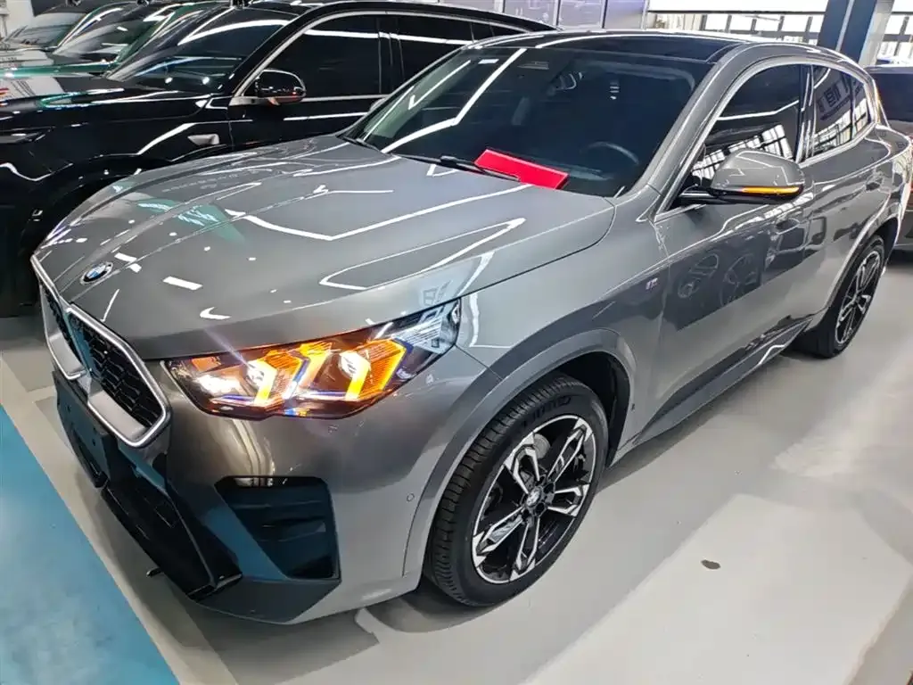 BMW X2 (Import) — фото 9