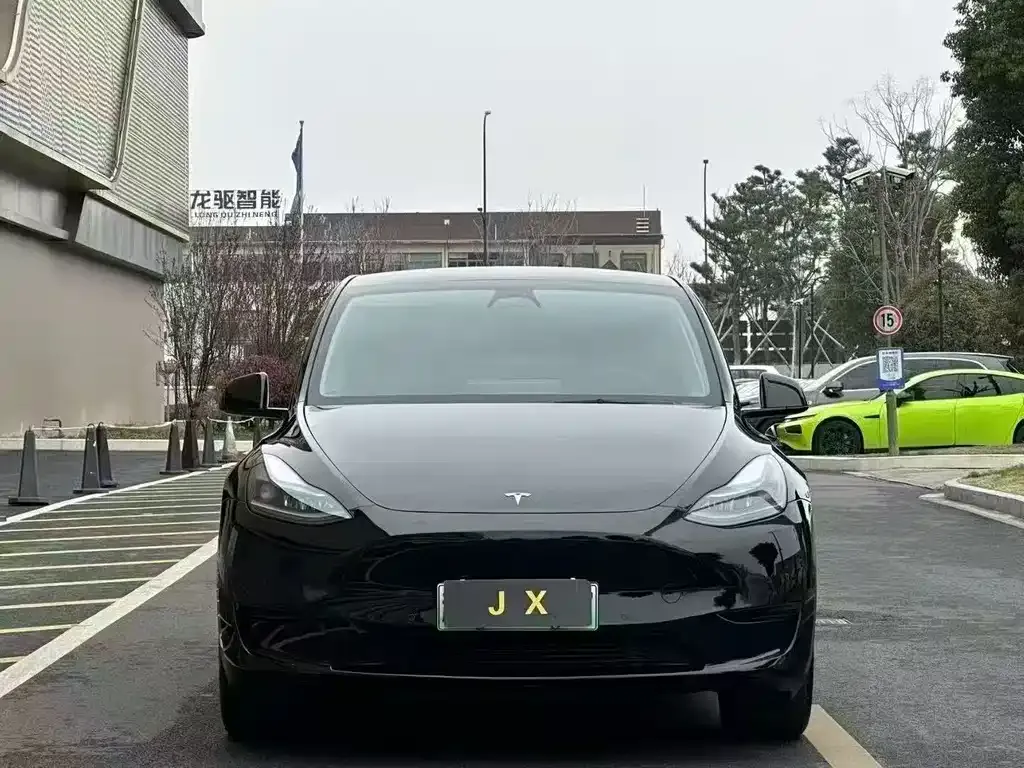 Tesla Model Y — фото 2