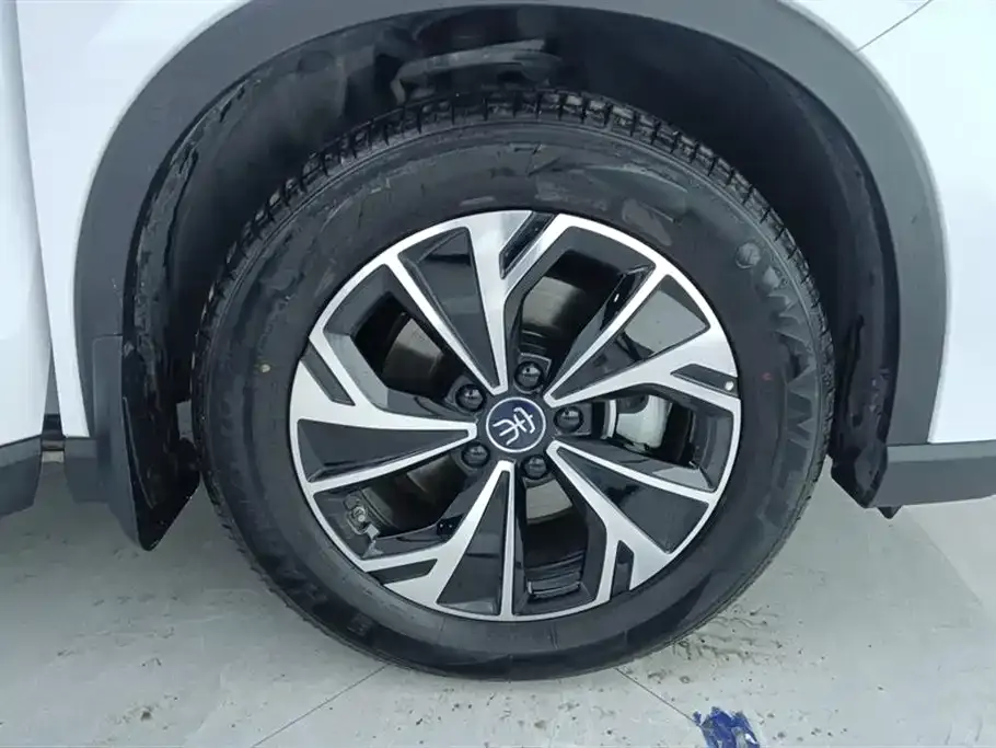 BYD Pro New Energy — фото 7
