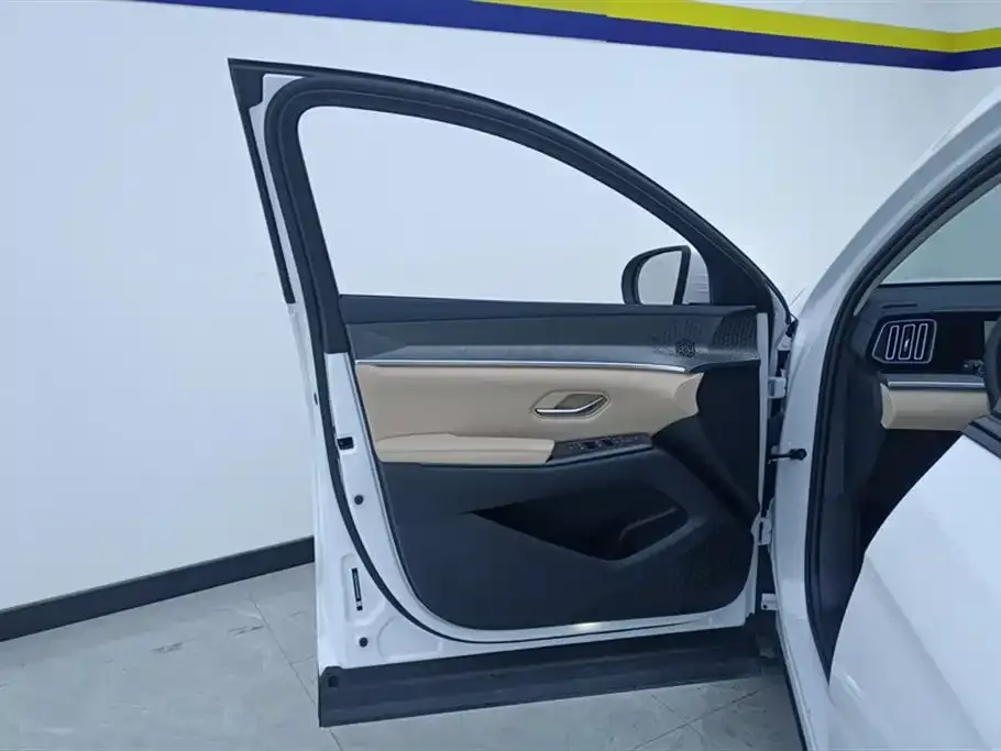 BYD Pro New Energy — фото 6