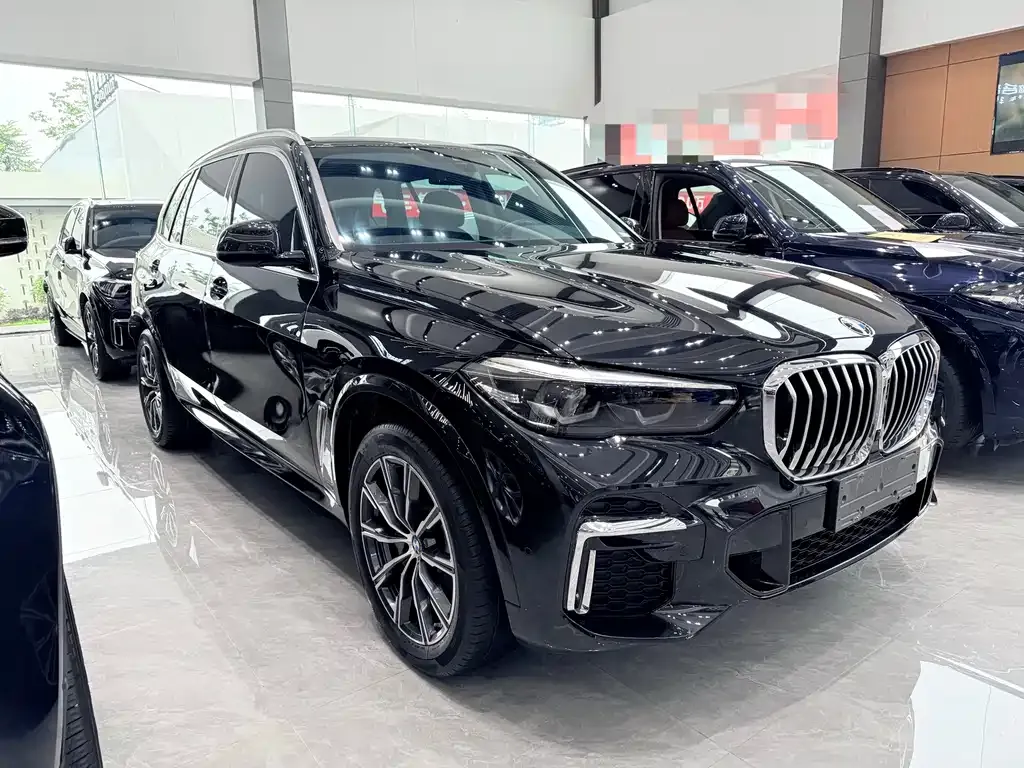 BMW X5 — фото 8