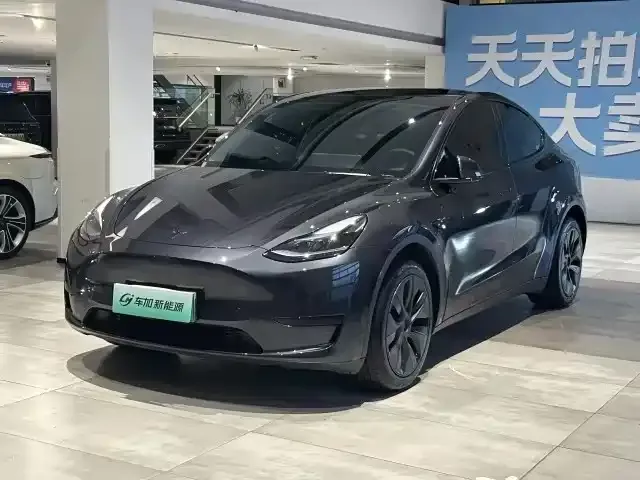 Tesla Model Y — фото 1