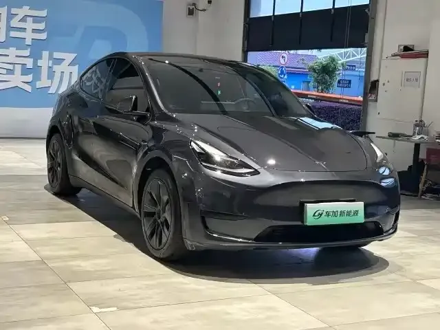 Tesla Model Y — фото 2
