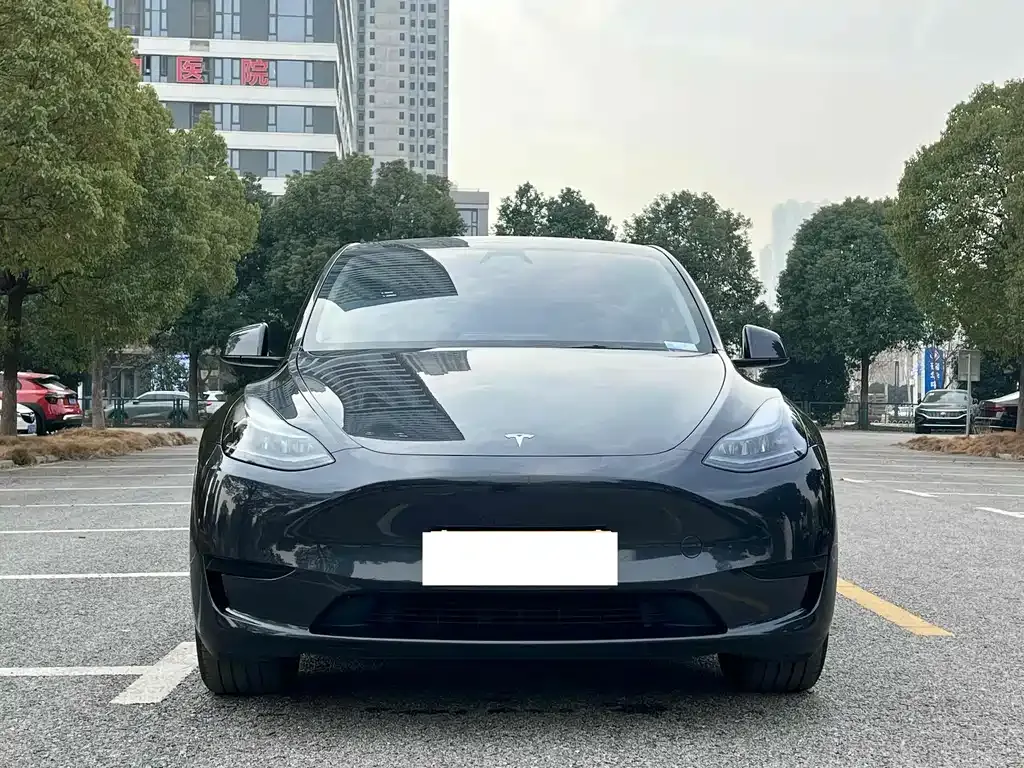 Tesla Model Y — фото 7