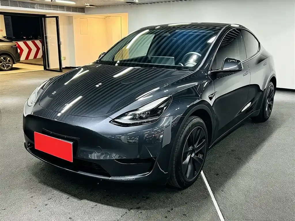 Tesla Model Y — фото 1