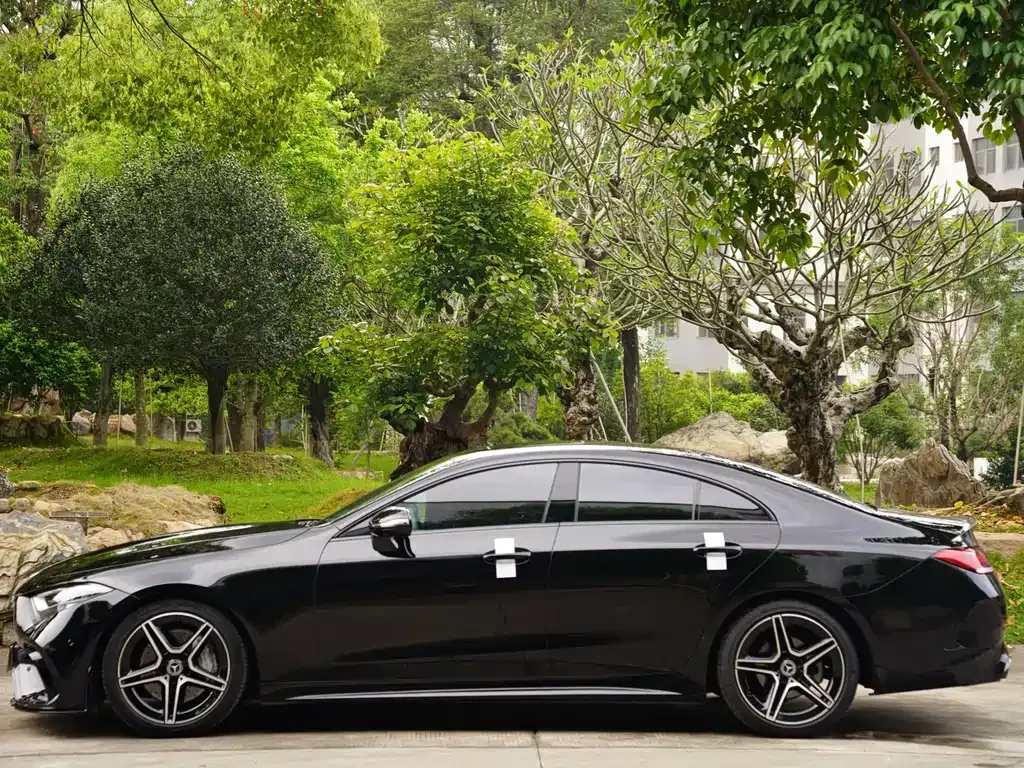 Mercedes-Benz CLS — фото 8