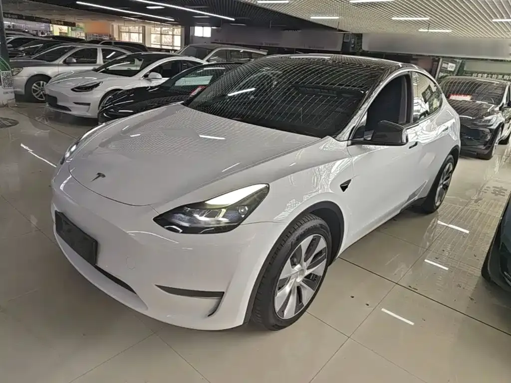 Tesla Model Y — фото 9