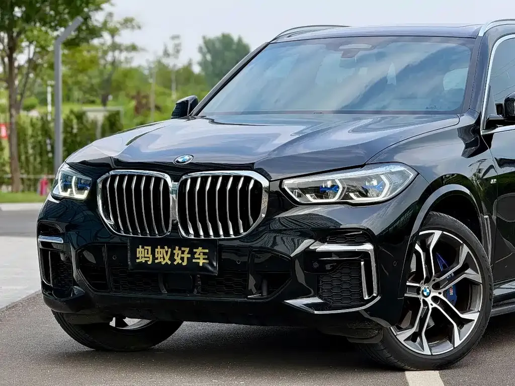 BMW X5 — фото 10