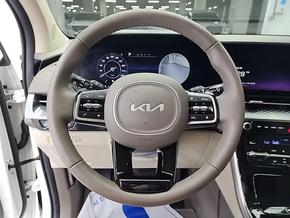 Kia Carnival — фото 10