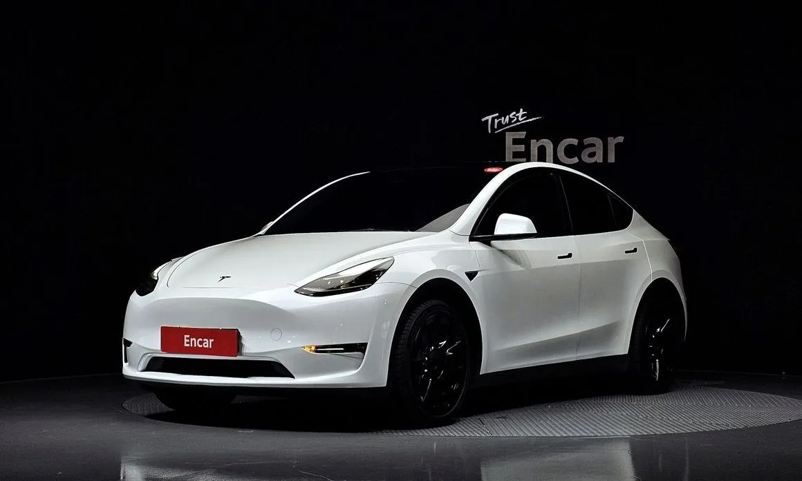 Tesla Model Y — фото 1