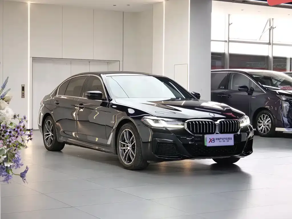 BMW 5 Series New Energy — фото 9