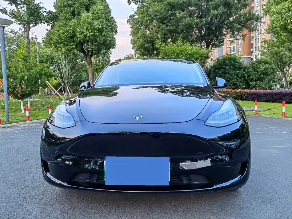 Tesla Model Y — фото 5