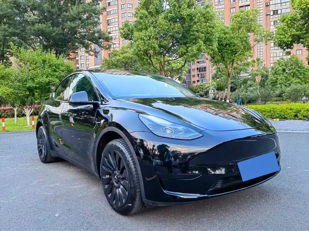 Tesla Model Y — фото 10
