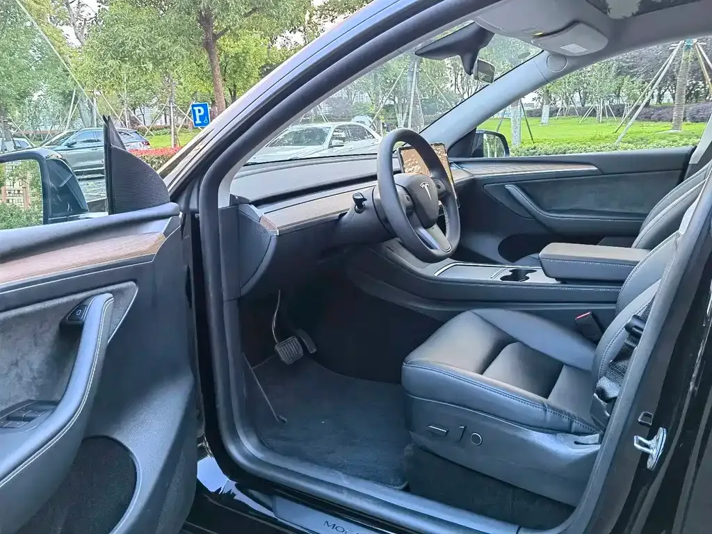 Tesla Model Y — фото 9