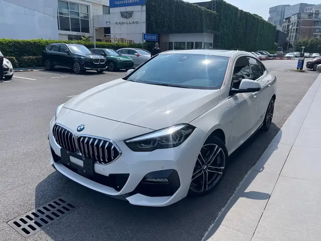 BMW 2 Series (Import) — фото 1