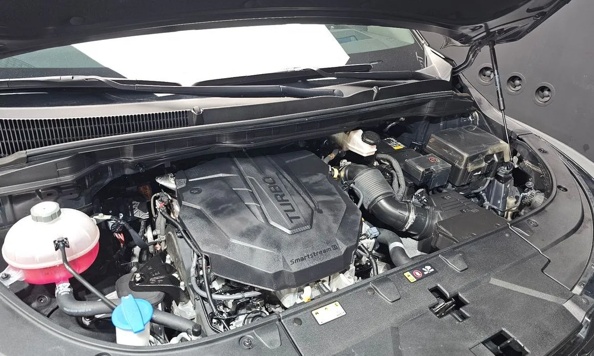 Kia Carnival — фото 10