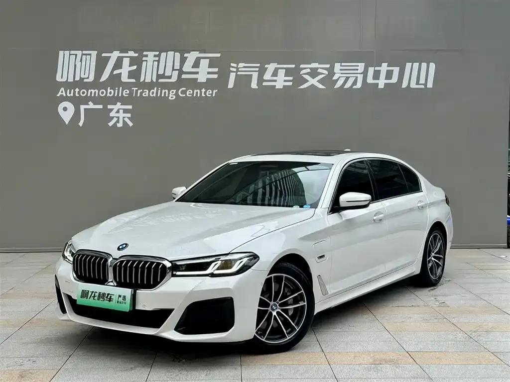BMW 5 Series New Energy — фото 1