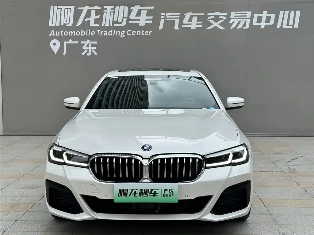BMW 5 Series New Energy — фото 6