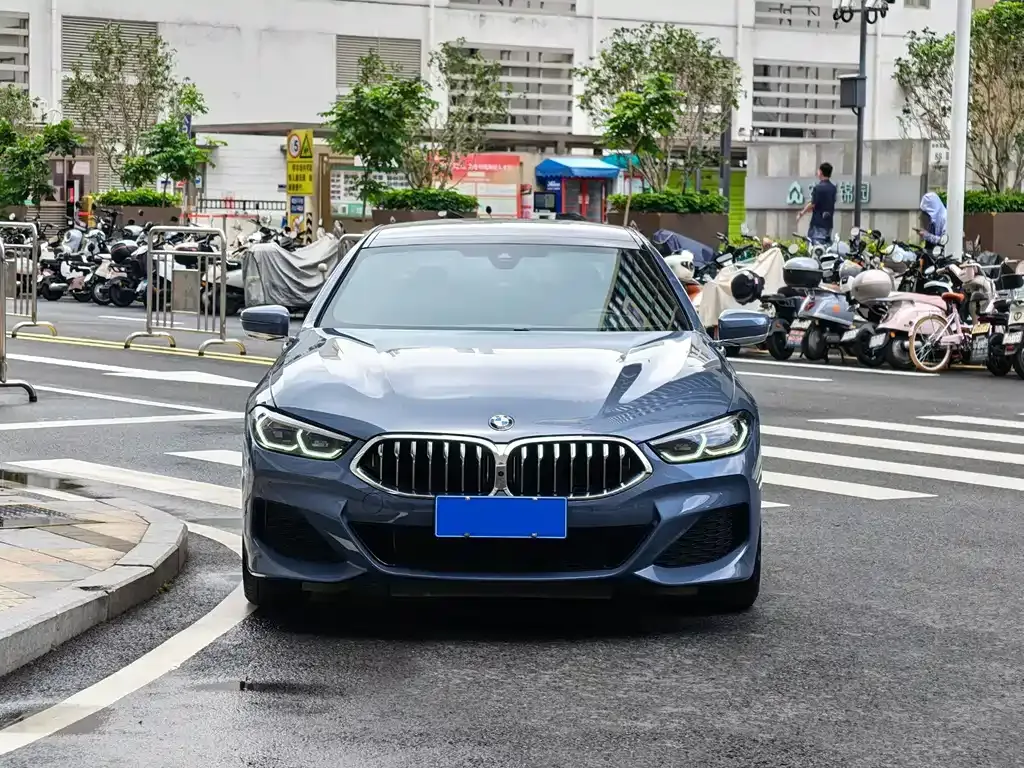 BMW 8 Series — фото 6