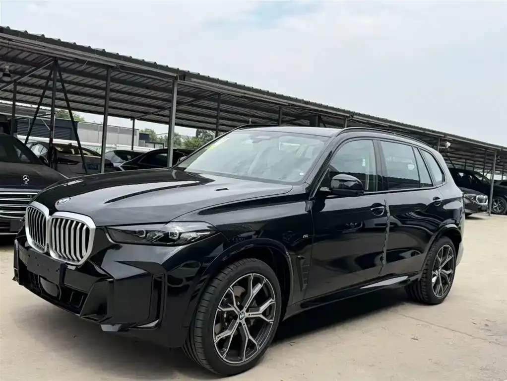 BMW X5 — фото 1