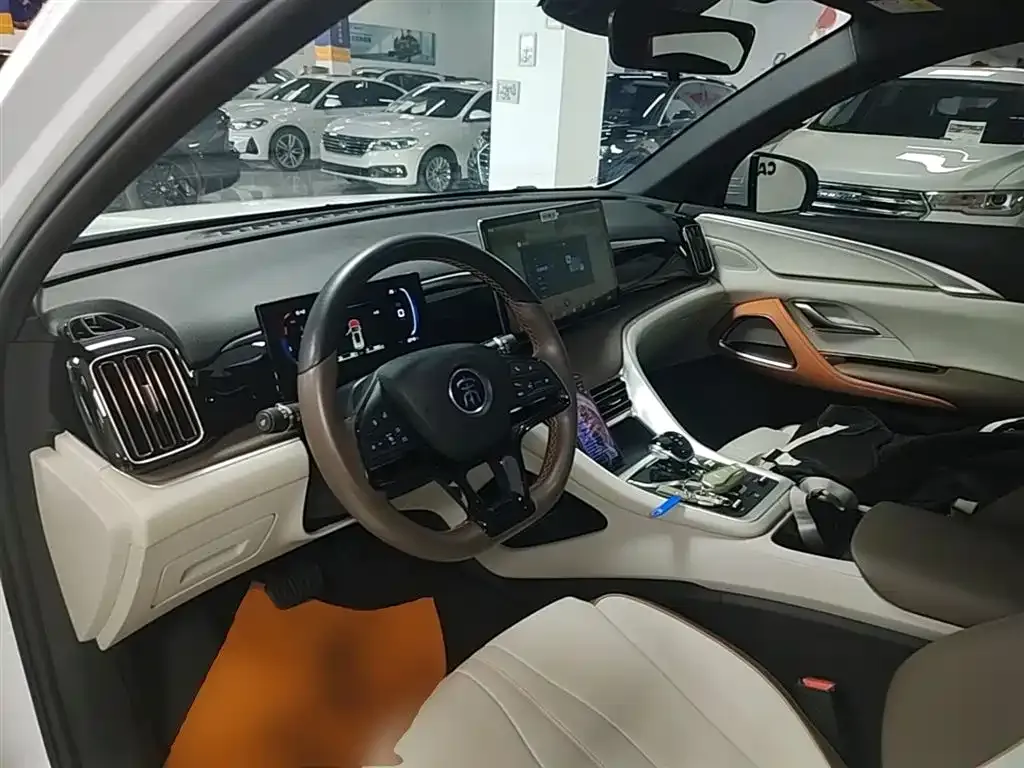BYD Pro New Energy — фото 10