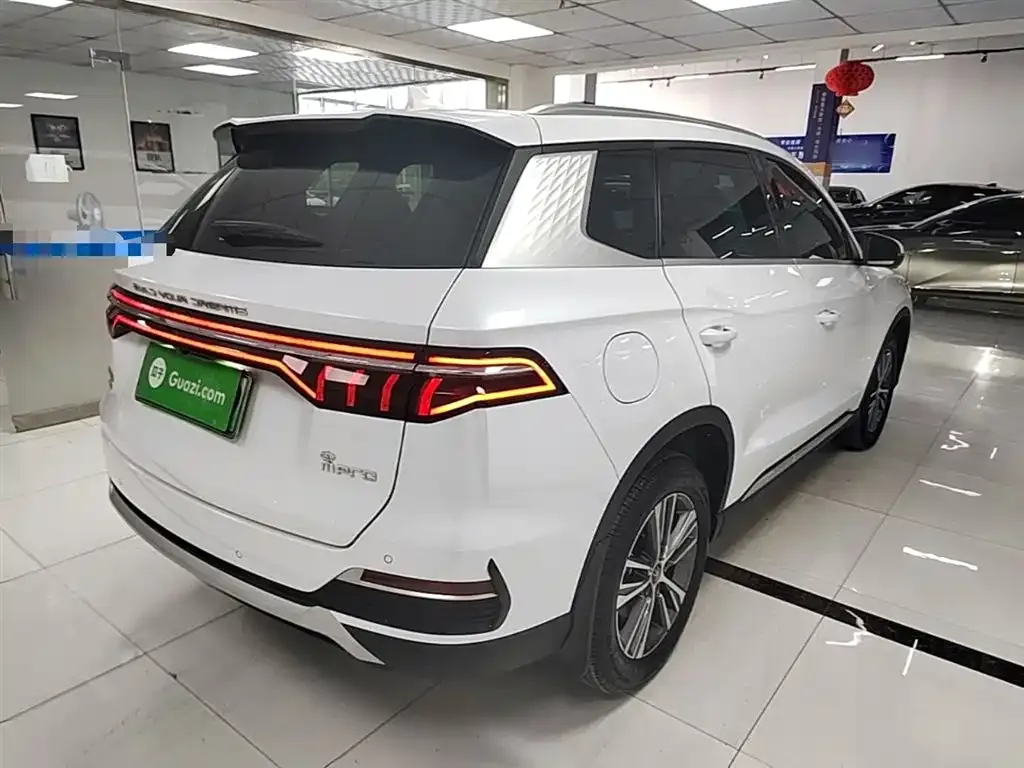 BYD Pro New Energy — фото 9
