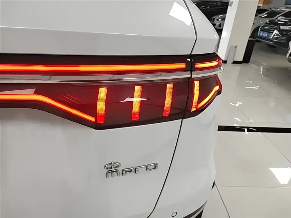 BYD Pro New Energy — фото 7
