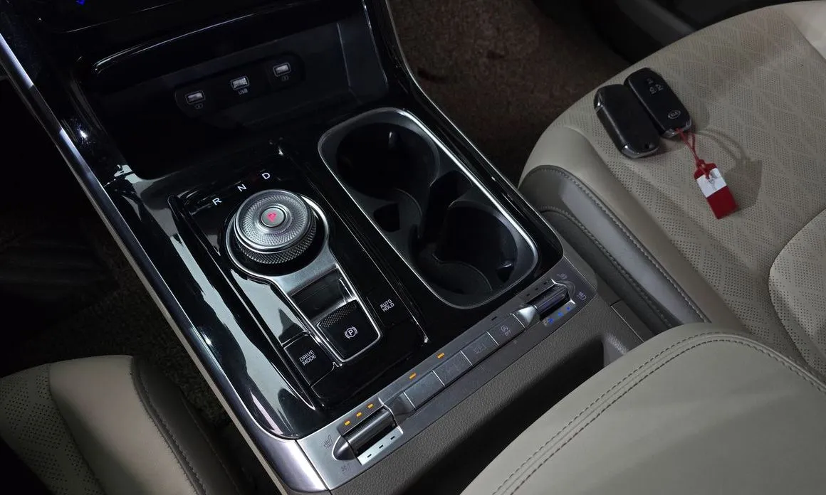 Kia Carnival — фото 10